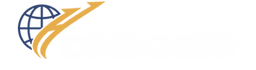 Partner 6